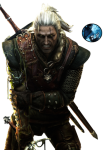 Witcher22