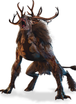 Witcher24
