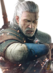 Witcher28