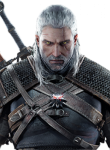 Witcher29