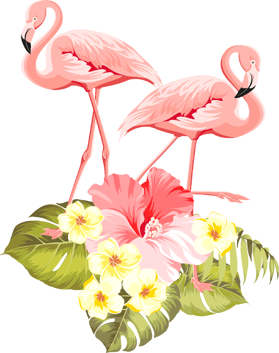 Flamingo03