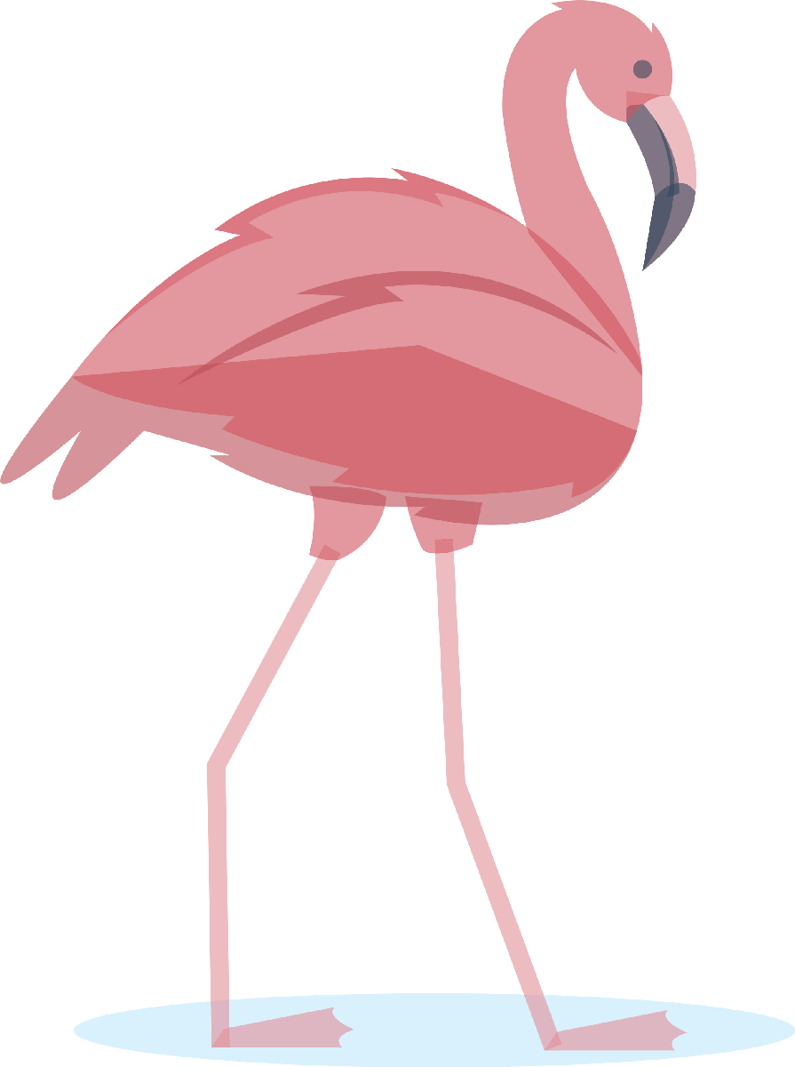 Flamingo04