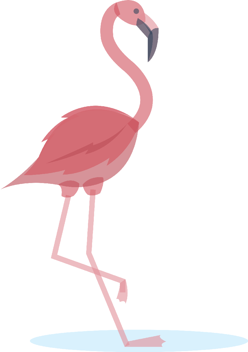 Flamingo05