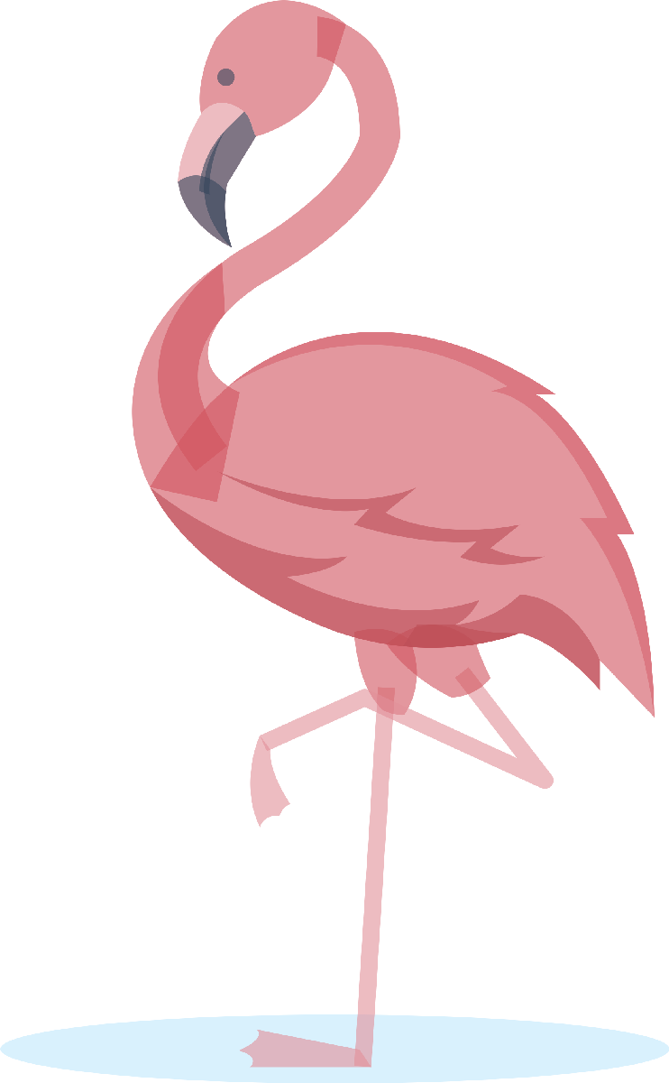Flamingo06
