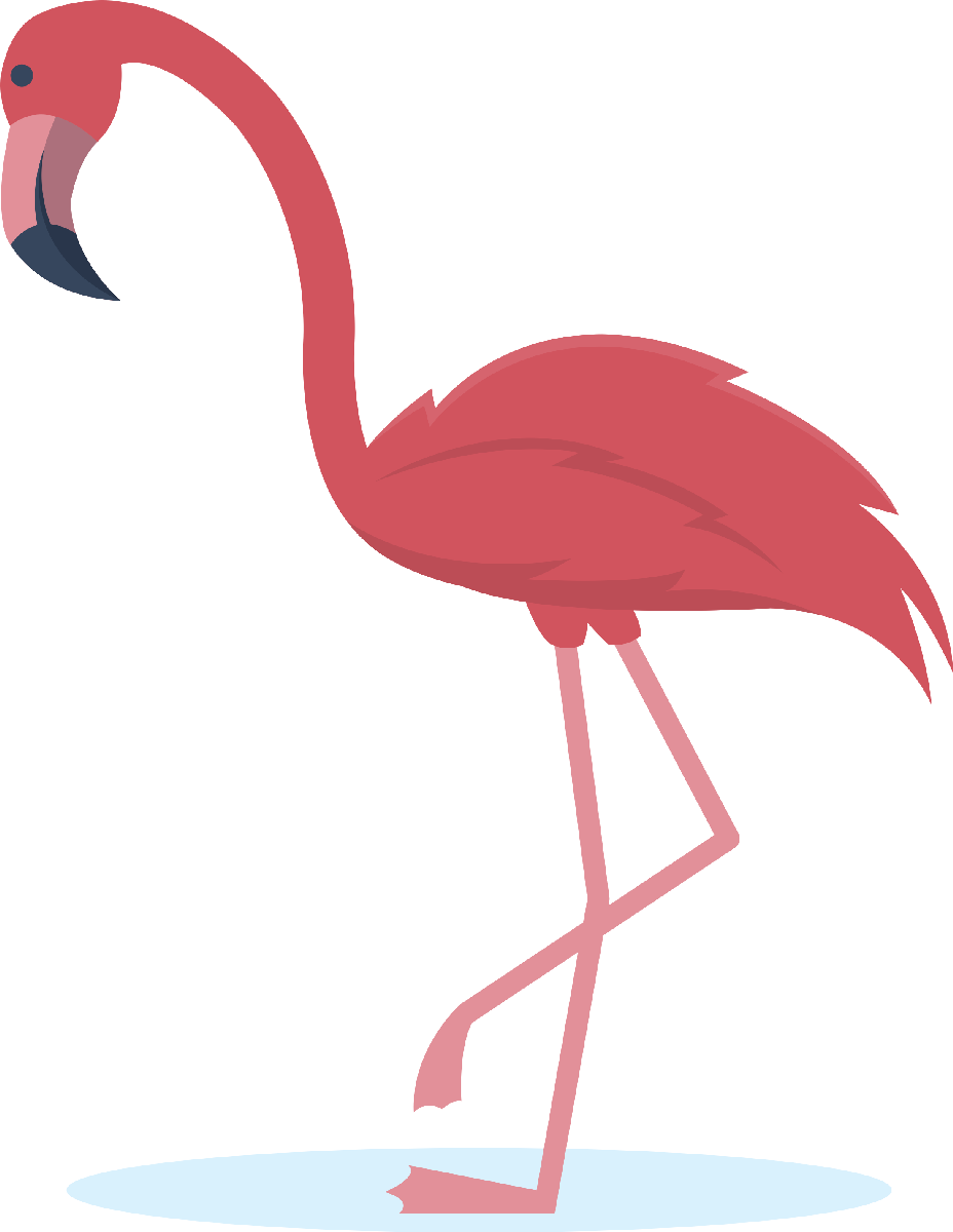 Flamingo07