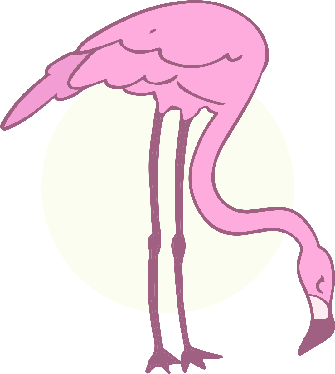 Flamingo08