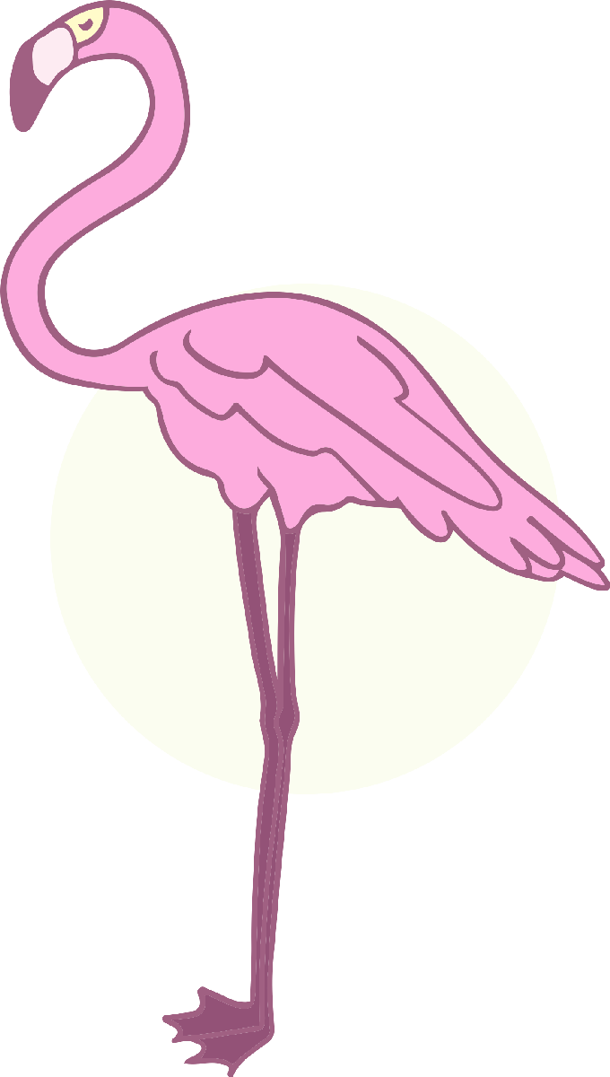 Flamingo09