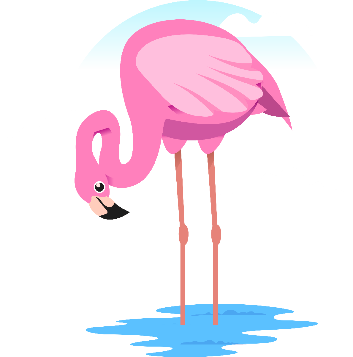 Flamingo12