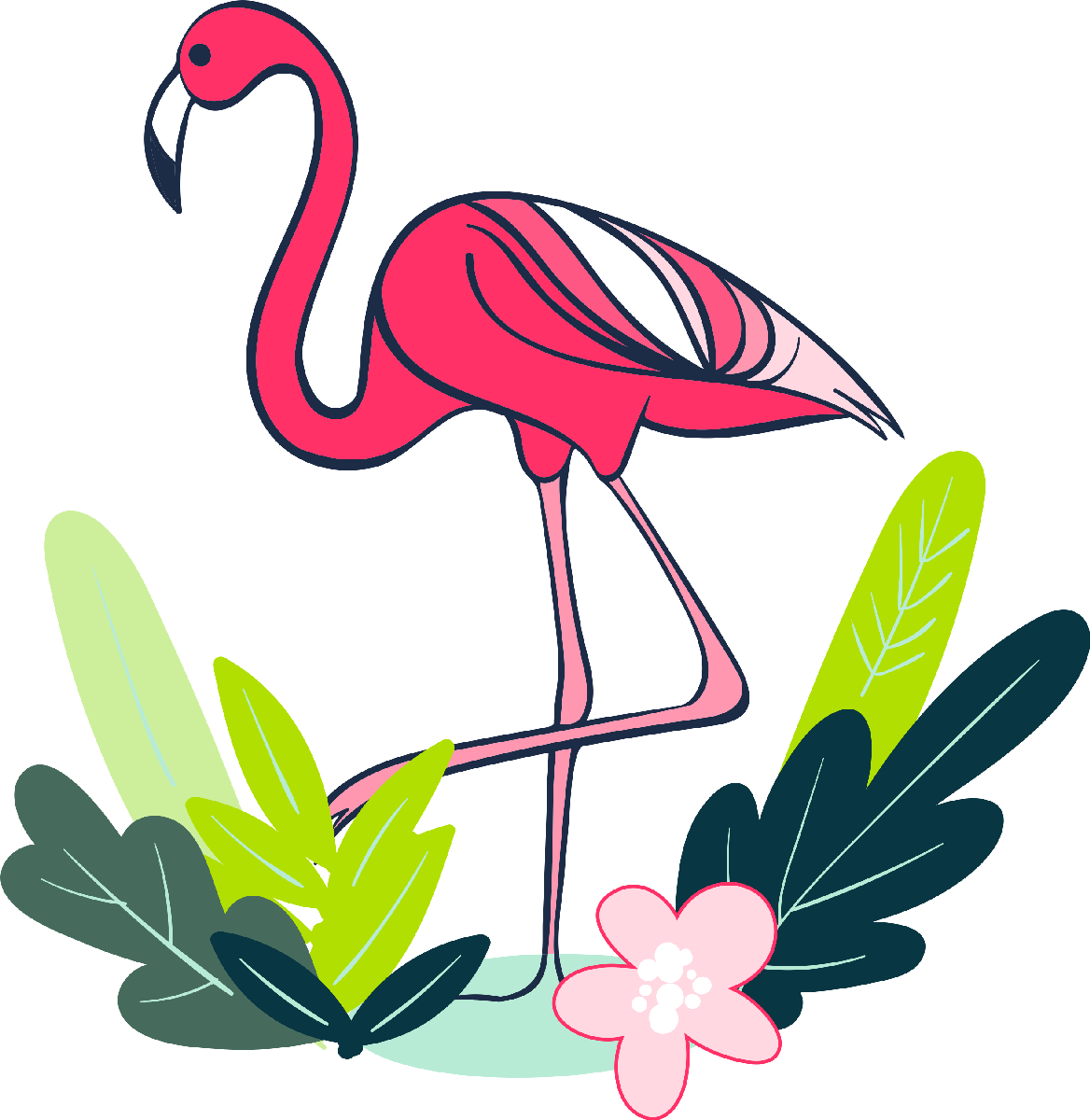 Flamingo18