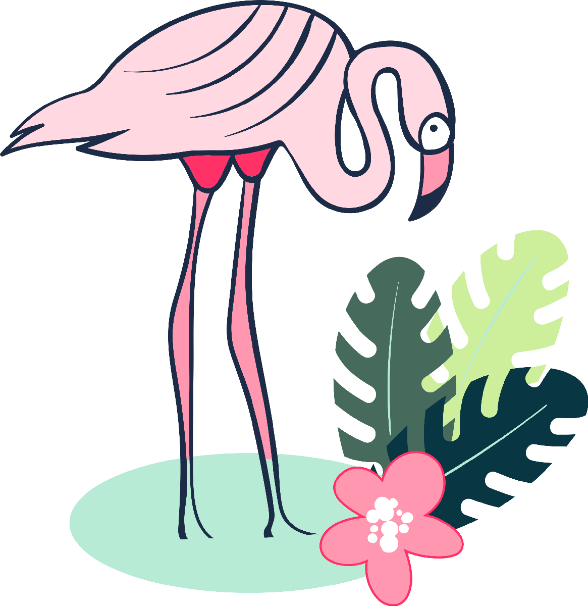 Flamingo19