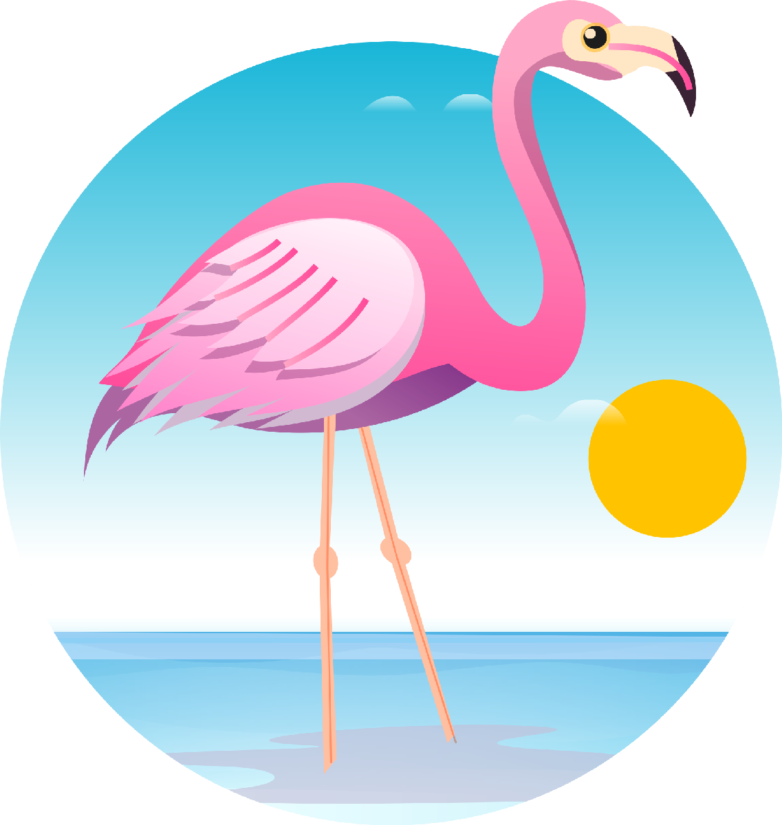 Flamingo21