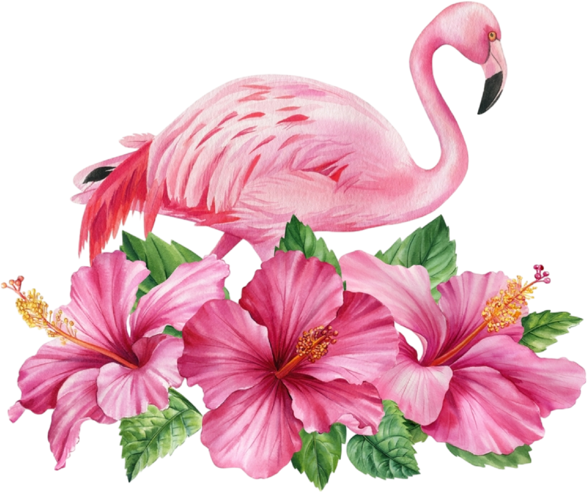 Flamingo23