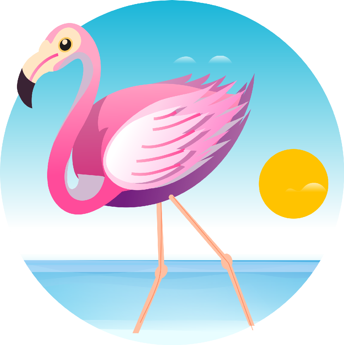 Flamingo24