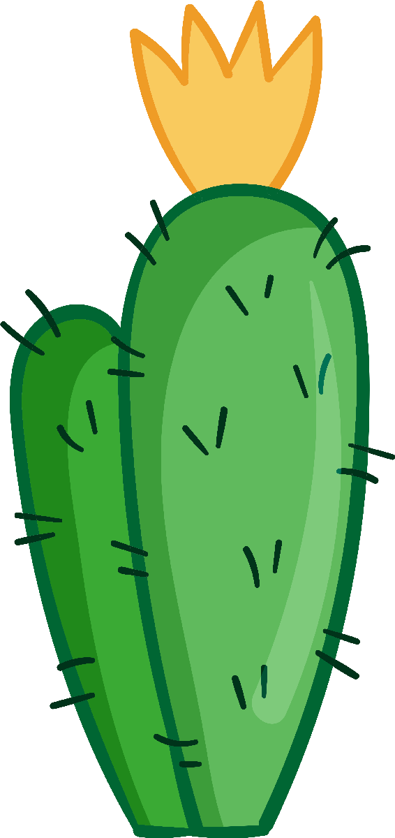 Kaktüs28