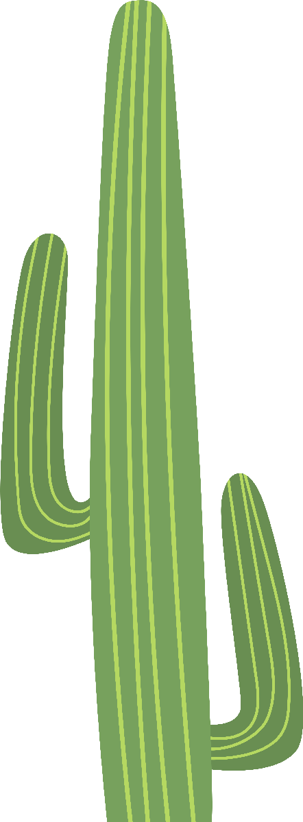 Kaktüs33