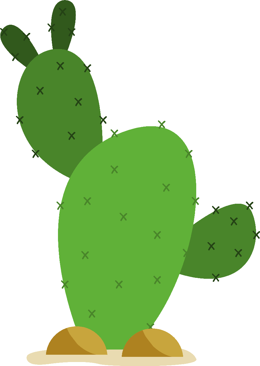 Kaktüs37