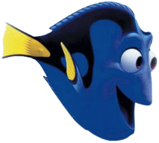 Nemo08