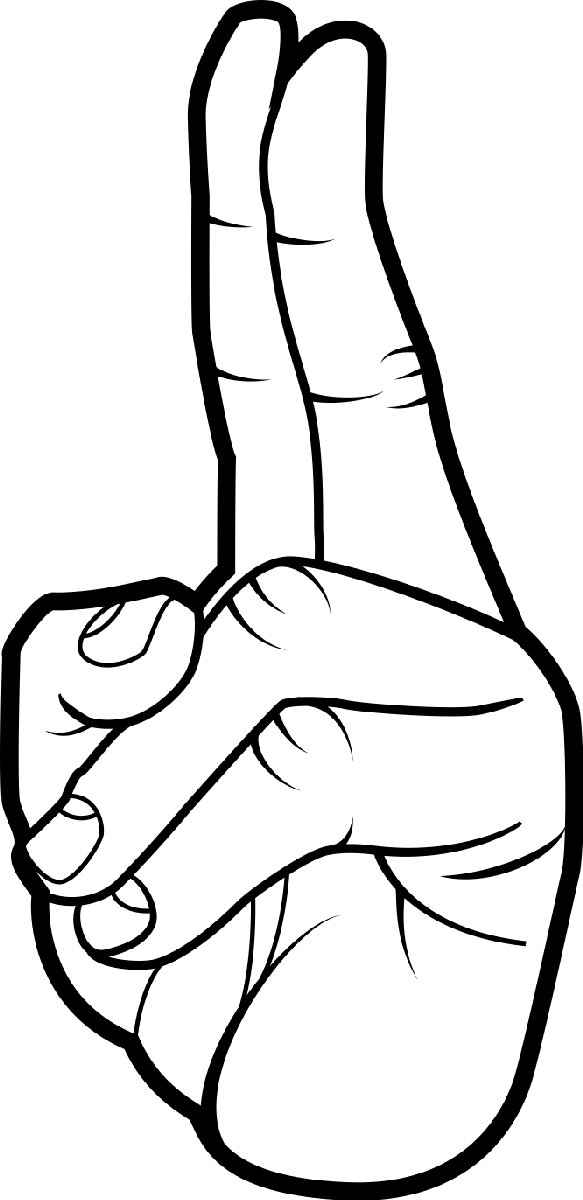 Politik19