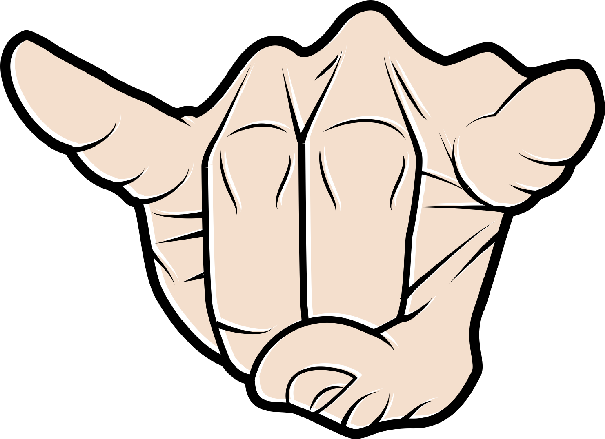 Politik24
