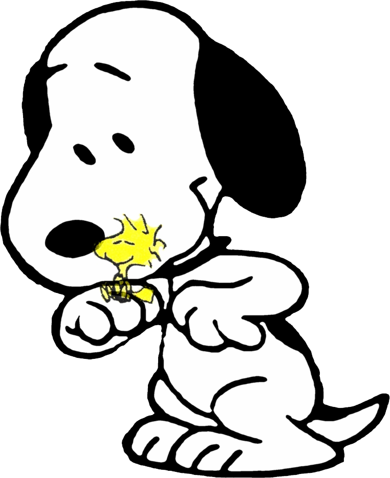 Snoopy028