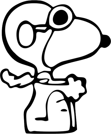 Snoopy040