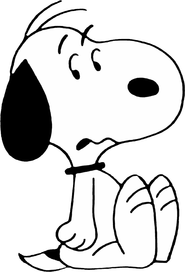 Snoopy047
