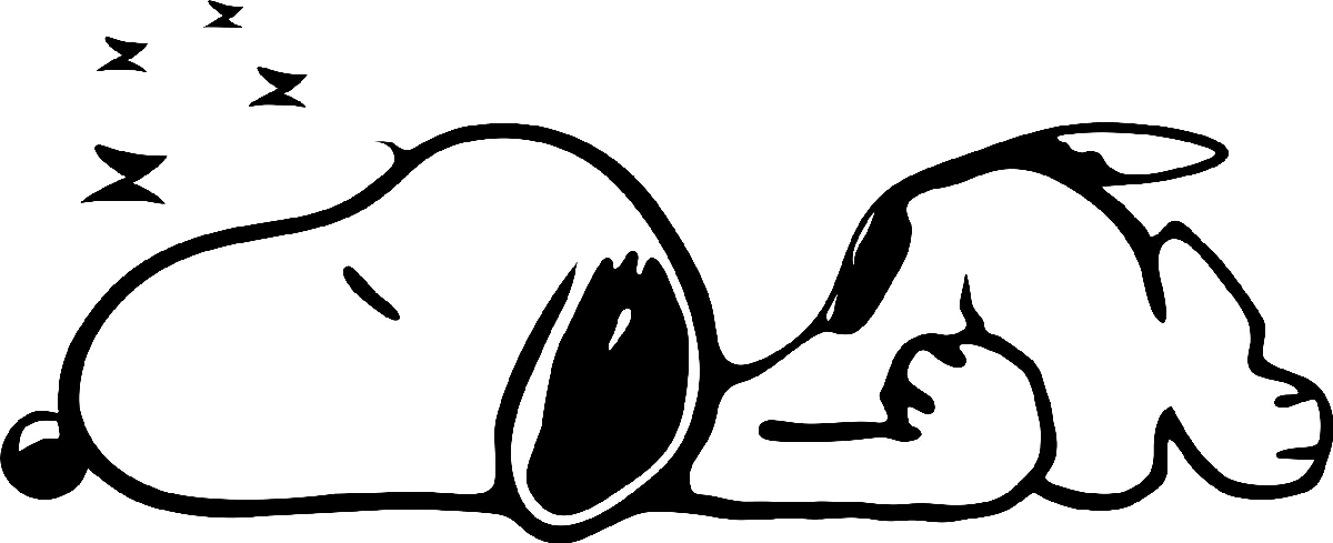 Snoopy050