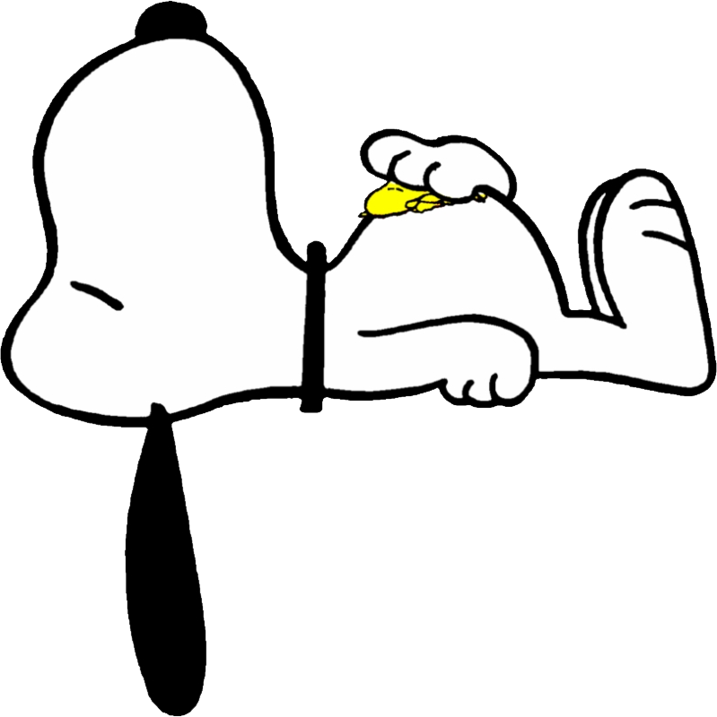 Snoopy051