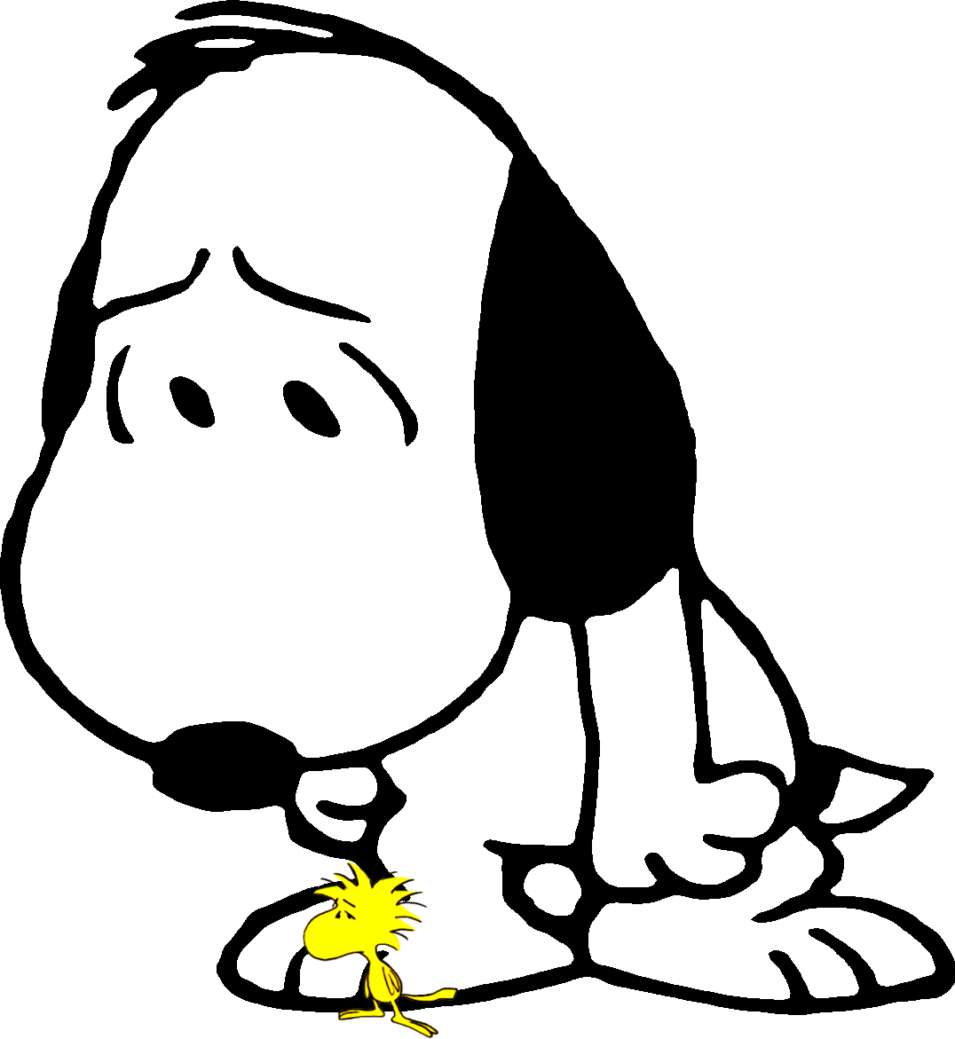Snoopy070