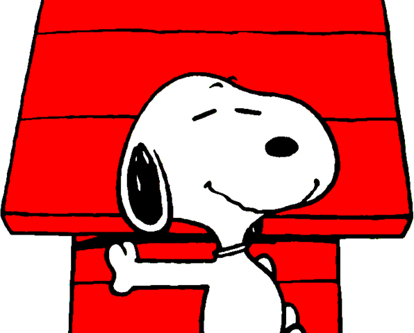 Snoopy071
