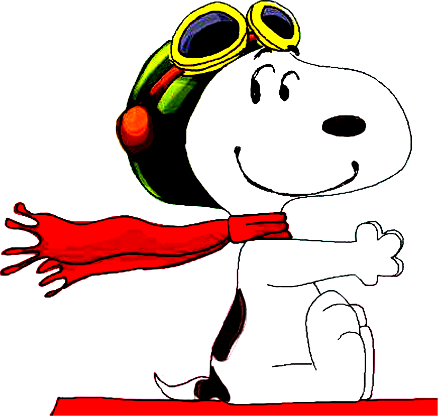 Snoopy081