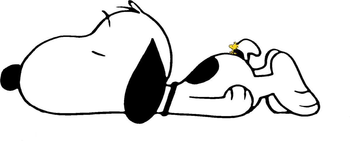 Snoopy098