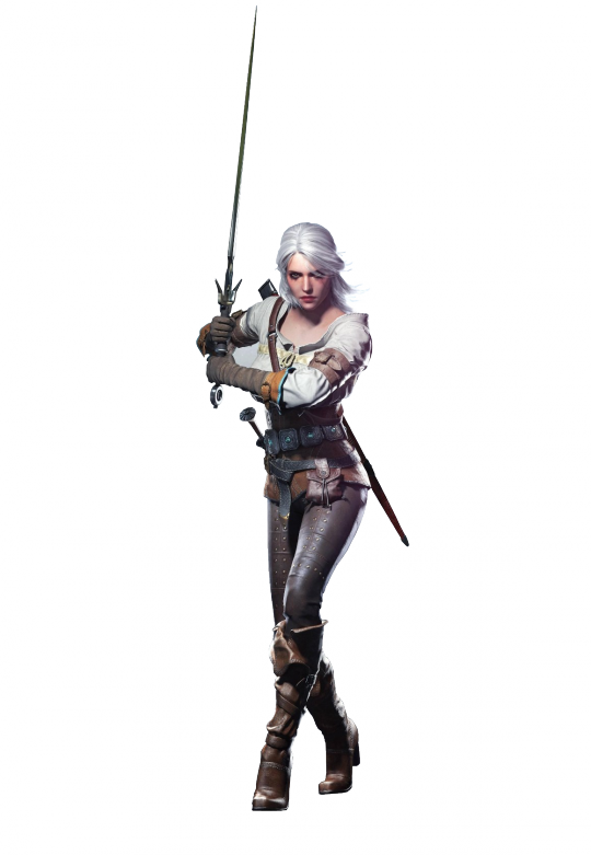 Witcher01
