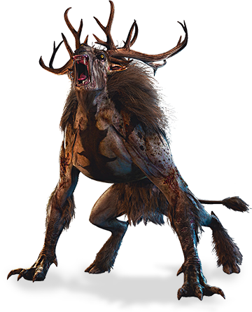 Witcher24